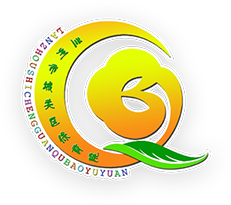 兰州市城关区保育院的网站页脚LOGO