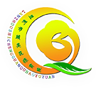 兰州市城关区保育院的网站LOGO